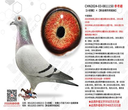 С���ҡ��½�ķͬĸ����