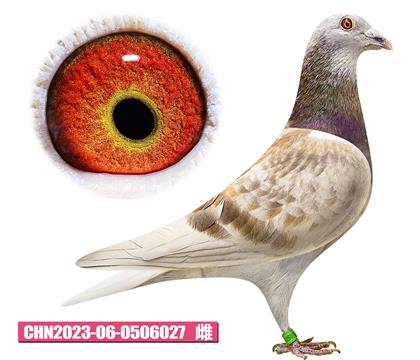 吉尔特-海伦小姐027