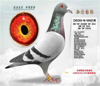 ���ҡ�698��ֱ��X���ҡ�698��ֱ��Ů