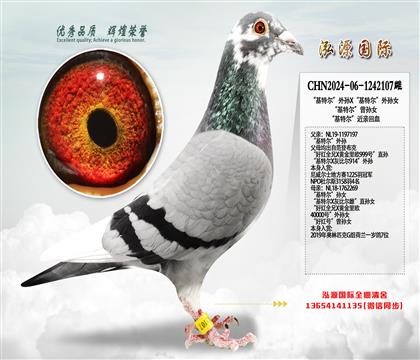 �����ض�������X�����ض�������Ů