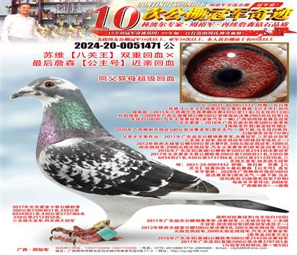 ��ά���˹�����˫�ػ�Ѫ�����ղɭ�������š����׻�Ѫ