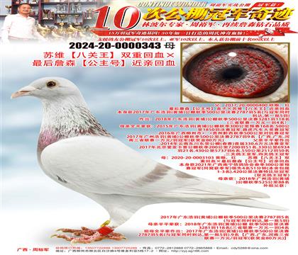 ��ά���˹�����˫�ػ�Ѫ�����ղɭ�������š����׻�Ѫ