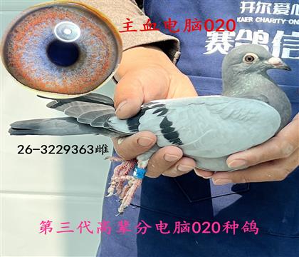 ��Ѫ����363