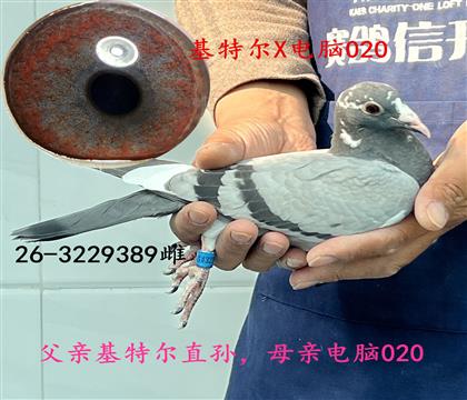 ���ض�X����020