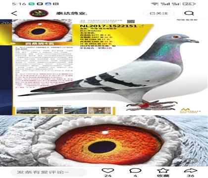 ��������˹ԭ�� ��ɣ��4��