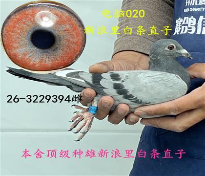 ���������ֱ��