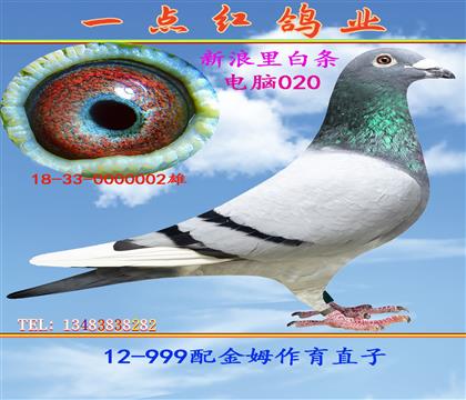 �������ֱ��