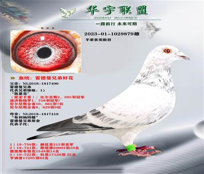 �׵����û��� �û�ֱ��Xֱ��Ů