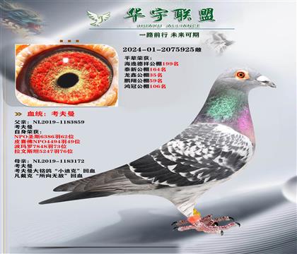 ������  С�Ͽ�X�����޵�����ŮX�ٰ���ֱ�� ������ķ