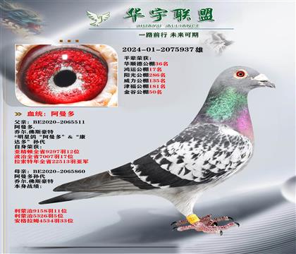 ��������� ������ֱ��Xֱ��Ů �����ָ�