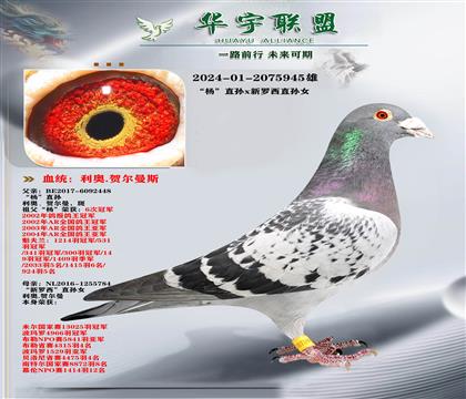 ���� ������ֱ��X���������۴� ����Ů