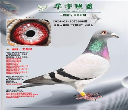 �����˹ ��������� ���޺� ����Ů