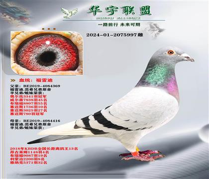 ���׵� �ٰ���������Ѫ ��������