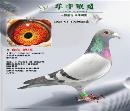 ���־� �ܽ�ͷX��ʮ���� �����ָ�