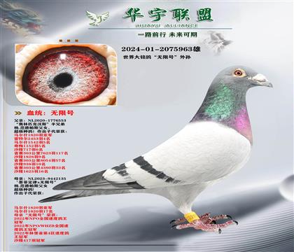 �����˹ ��������� ���޺� ����