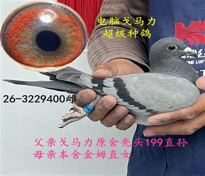 ���Ը����������ָ�