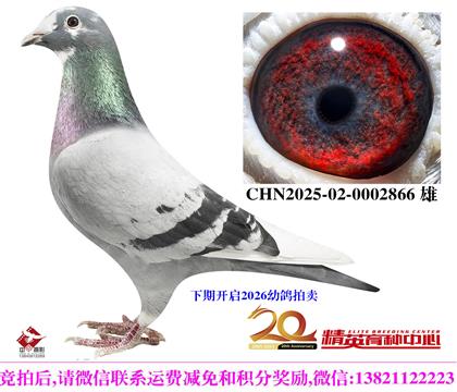 ��ʱ��911ֱ���䱣ʱ������ֱŮ