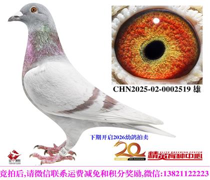 ���ǲ���ȫ�������ھ�����ֱ��