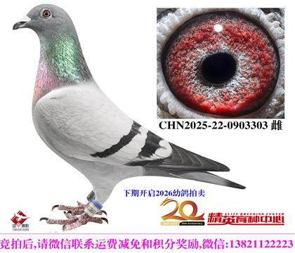 �Ǳȡ������硱ֱ���䡰���ˡ�ֱŮ