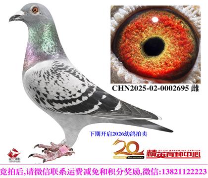 �������롰��ѻ��ض�������ֱ��