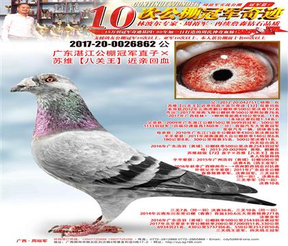 �㶫տ������ھ�ֱ�ӡ���ά���˹��������׻�Ѫ