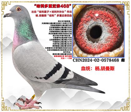 ��.����˹������ֱ�ӡ���������Ů�����׻�Ѫ