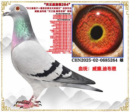 ����.�ϲ�����������ֱ�ӡ�ī�ƶ���ȫ�ֵ�ֱŮ������