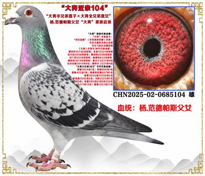 ��.������˹���󱼰��ֵ�ֱ�ӡ���ȫ�ֵ�ֱŮ����������