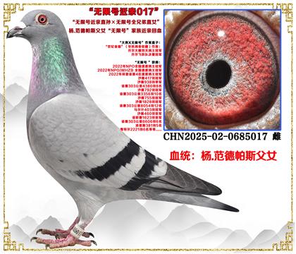 ��.������˹�����޺Ž���ֱ������޺�ȫ�ֵ�ֱŮ�����׻�Ѫ