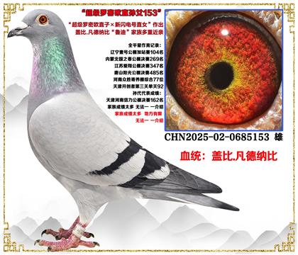 �Ǳ�.�����ɱȡ���������ŷֱ��X������ֱŮ������