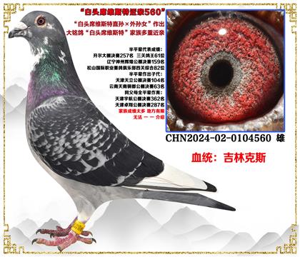 ���ֿ�˹����ͷϯά˹��ֱ�������Ů��������Ѫ