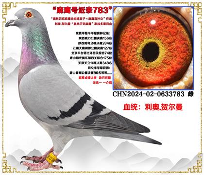 ���¡�����ƥ����ӥȫ����ֱ��X��ӥֱ��Ů����������