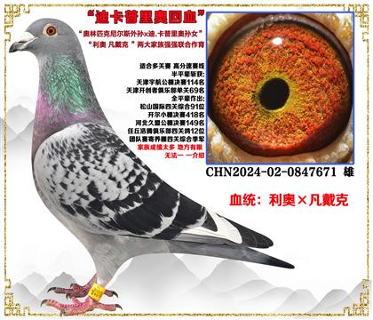 ���¡�����ƥ�����˹�������.���������Ů������