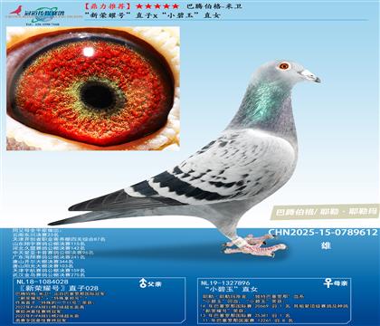 ���ڲ���-���� ������ҫ�š�ֱ��x��С����ֱŮ