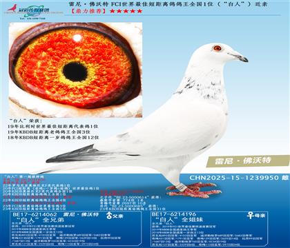 ������ FCI������Ѷ̾�������ȫ��1λ�������ˡ�������