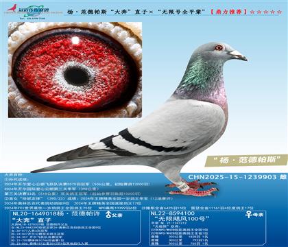 �������˹���󱼡�ֱ�ӡ������޺�ȫƽ����