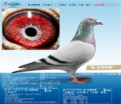 ��.������˹����ֱ�ӡ��������޺š�ȫ�ֵ�/���󱼡�ֱŮ