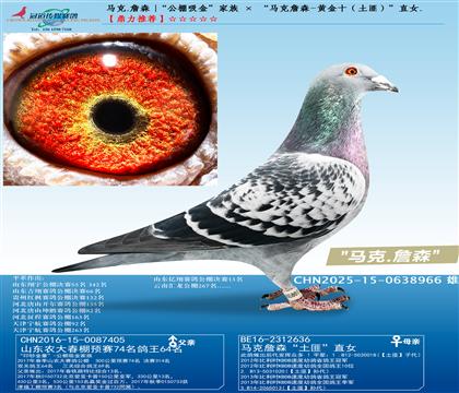 ����.ղɭ |���������𡱼��� �� ������ղɭ-�ƽ�ʮ������