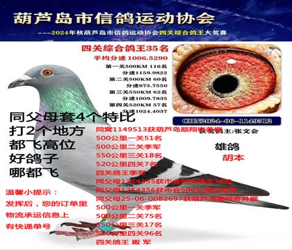 ���ص㣩ͬ��ĸ��4���رȻ������ɸ�λ���ø����Ķ��ɣ�������