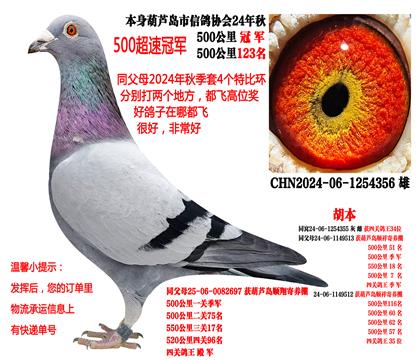 ��ѹ���ص㣩ͬ��ĸ��4���رȻ������ɸ�λ��500���ﳬ�ٹھ�