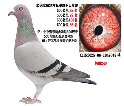 25���＾4��500����4��ǰ������Ҽ�Ÿ�������x�������ң�