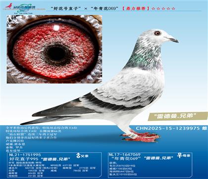 �׵����ֵܣ��û����塰�û���ֱ�ӡ��������໨069��