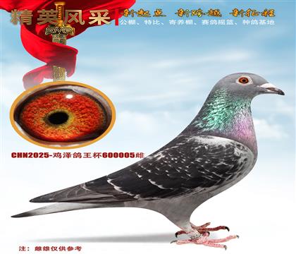 ��õ�塢����ˬ���ݴ�