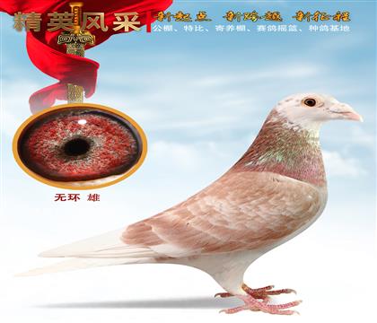 ���ǲ��˺ú�š��޻��Ž�������