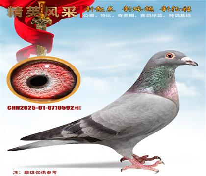 ɣ��ʿ��Ѫ�����