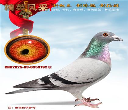 ���ض�006.��ʱ��