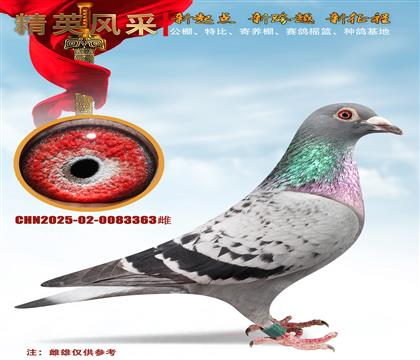 ��������ھ�ֱ�ӡ�251��