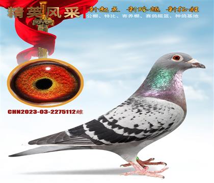 ��ĸ112�������Ǿ� .����6��