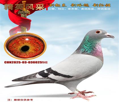 ȫ����ս������Ѫ����