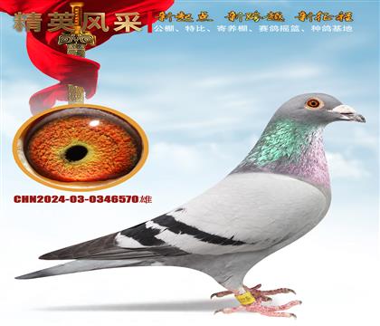 �������������.�Ǳ�